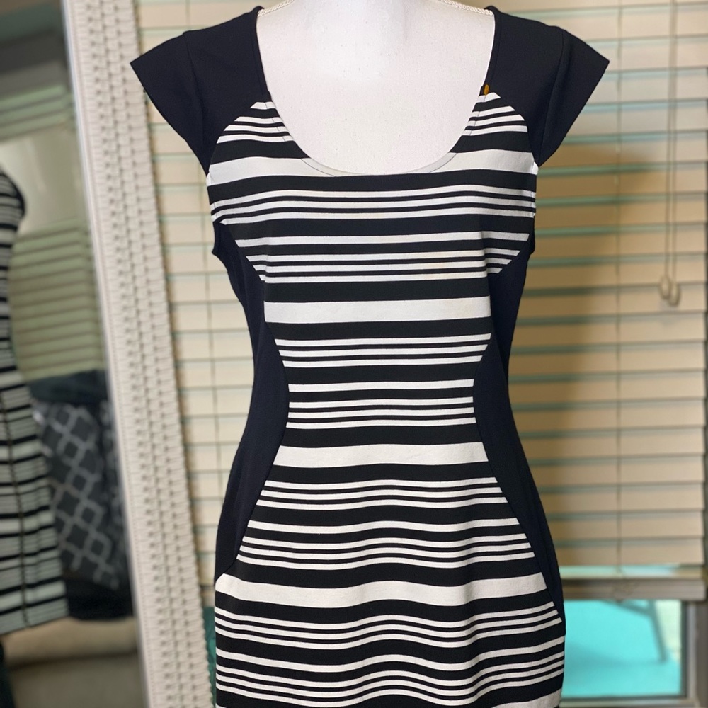 Express - striped dress with full length zipper